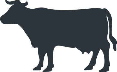 Cow Vector - Farm Animal Silhouette Png