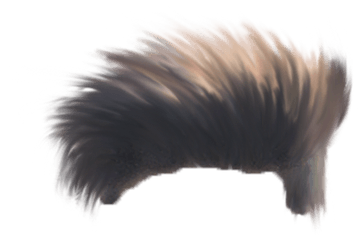 Hair Png - Cb Edit Hair Png Download