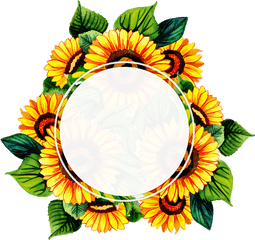 Free Png Floral Frame - Konfest Sunflower