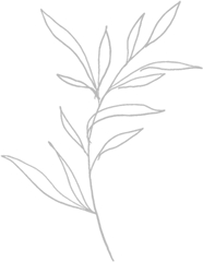 Flower Drawing Sticker - Sketch Png