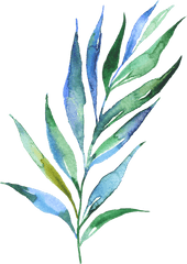 Download Watercolour Watercolor Plants Leaves - Water Color Plants Png