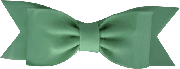 Gumpaste Bows - Large Solid Green Satin Png