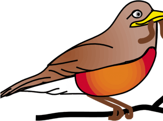 Trinidad Flag Png - American Robin Clipart North Bird Red Robin Clip Art