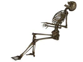 Skeleton Png Image