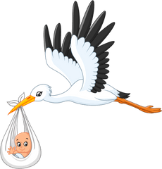 White Stork Infant Clip Art - Transparent Baby Stork Clipart Png