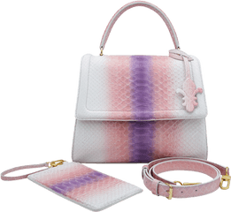 Gaby Mm Python Rose Rainbow - Wristlet Png