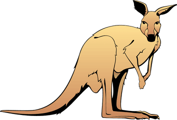 Kangaroo Clipart - Kangaroo Clip Art Png