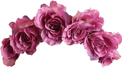 Flower Flowercrown Crown Aesthetic - Aesthetic Flower Crown Png