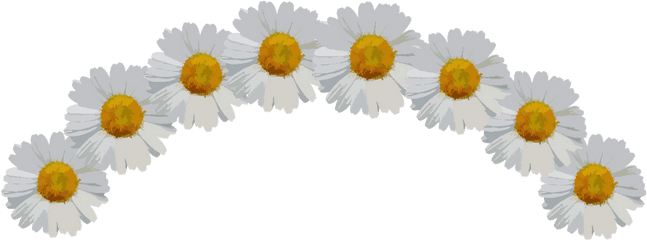 Download Ftestickers Sticker - Daisy Flower Crown Png Full Flower Crown Png Transparent Sticker