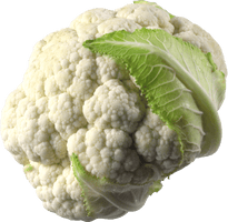 Cauliflower Png Image