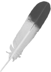 Feather Icon Png Image Images Download - Portable Network Graphics