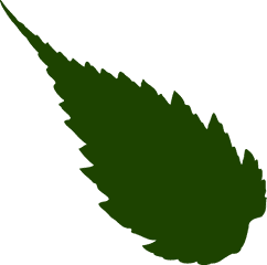 Image Of Drak Green Silhouette A Leaf Free Svg - Neem Leaf Clipart Png