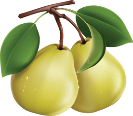 Download Pear Png Image Hq - Pears Clipart Png