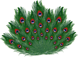 Krishna Images Emoticon Peacock - Peacock Feather Hd Png