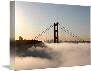 Lone Tree Golden Gate Bridge Morning Fog By Sf Bay Images - Golden Gate Bridge Png