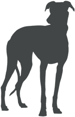 Big Dog Silhouette Posing - Transparent Png U0026 Svg Vector File Chien De Chasse Espagnol