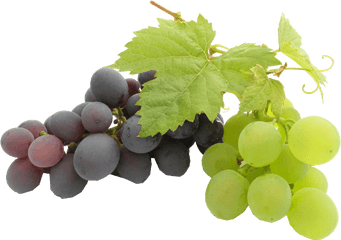 Best Pure Grape Seed Oil - Background Grape Seed Oil Png