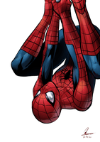 Spider-Man Free Download - Free PNG