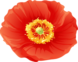 Library Of Free Poppy Flower Clip Art Png Poppies