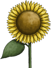 Sunflower Clipart Free Images - Clip Art Png