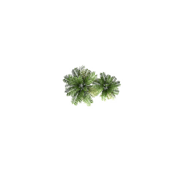 Png Download Free Clipart - Tree Png Top View