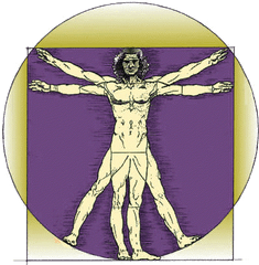 Hands - Vitruvian Man Png