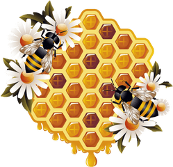 Honey Png Comb