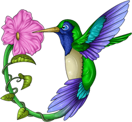 Hummingbird Tattoos Free Download Png All - Hummingbird And Flower Drawing