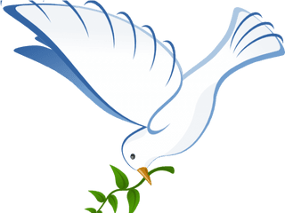 White Dove Clipart In Flight - Dove Coming Down Png