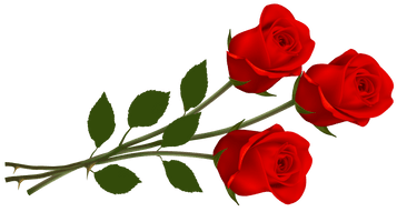 Single Red Rose Transparent Image - Free PNG