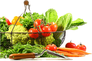 And Vegetables Fruits Free Transparent Image HQ - Free PNG