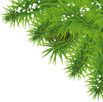 Fir-Tree Png Image