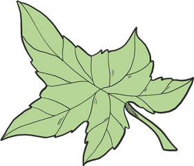 Ivy Leaf Clipart Free Download Transparent Png Creazilla - Ivy Leaf Clipart