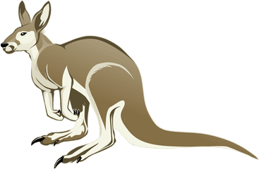 Kangaroo Png Transparent Clipart Image - Cartoon Kangaroo Transparent Background