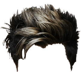 Related Image Hair Png Photoshop Backgrounds Free Studio - Funky Hairstyle For Man