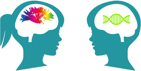 Download Brain Clipart Cognitive - Cognitive Clipart Png