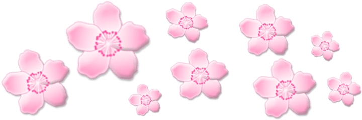 Sakura Transparent Png - Cute Soft Blue Flower Aesthetic