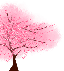 Ky87 V24 6471 Kbyte Cherry Blossoms - Anime Sakura Tree Png