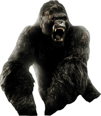 Kong Png 4 Image - King Kong