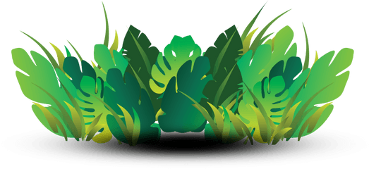 Foliage - Illustration Png