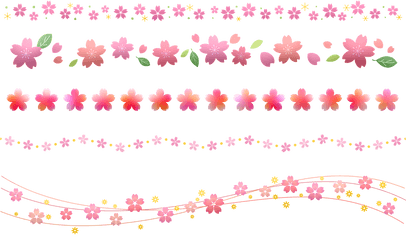 Sakura Border Cherry Blossom - Flor Sakura Png