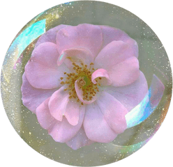 20 Flower Icon Tumblr - Flower Spring Aesthetic Glitter Png