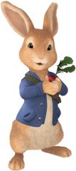 Peter Rabbit Holding Radish Transparent - Peter Rabbit Cartoon Drawing Png