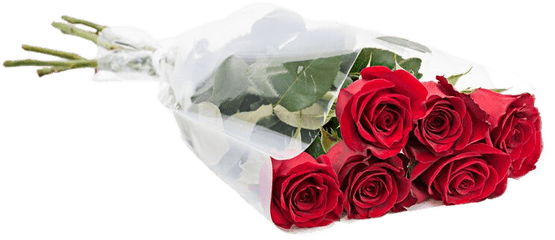 Traditional Half Dozen Roses Bouquets - Garden Roses Png