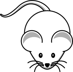 Mouse Mice Animal - White Mouse Black Background Png