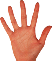 Palm Hands Png Hand Image