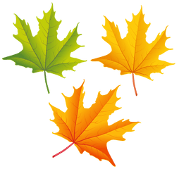 Autumn Leaf Png - Clip Art Fall Leaves Png