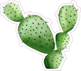 Sharp Watercolor Cactus Sticker - Watercolor Cactus Transparent Png