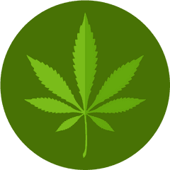 Marijuana Png Icon - Flat Marijuana Icon