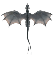 Flying Dragon Transparent - Free PNG